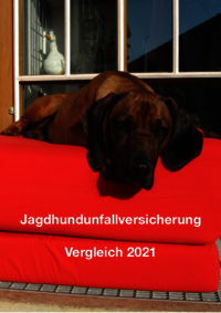 Jagdhundunfallversicherung Vergleich 2021